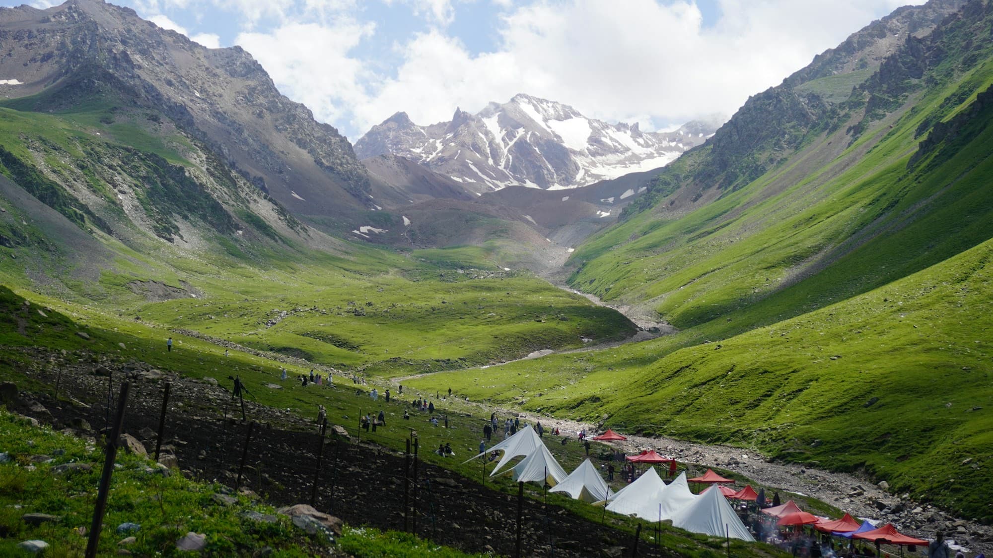 Tents pitched in an alpine meadow above the valley
