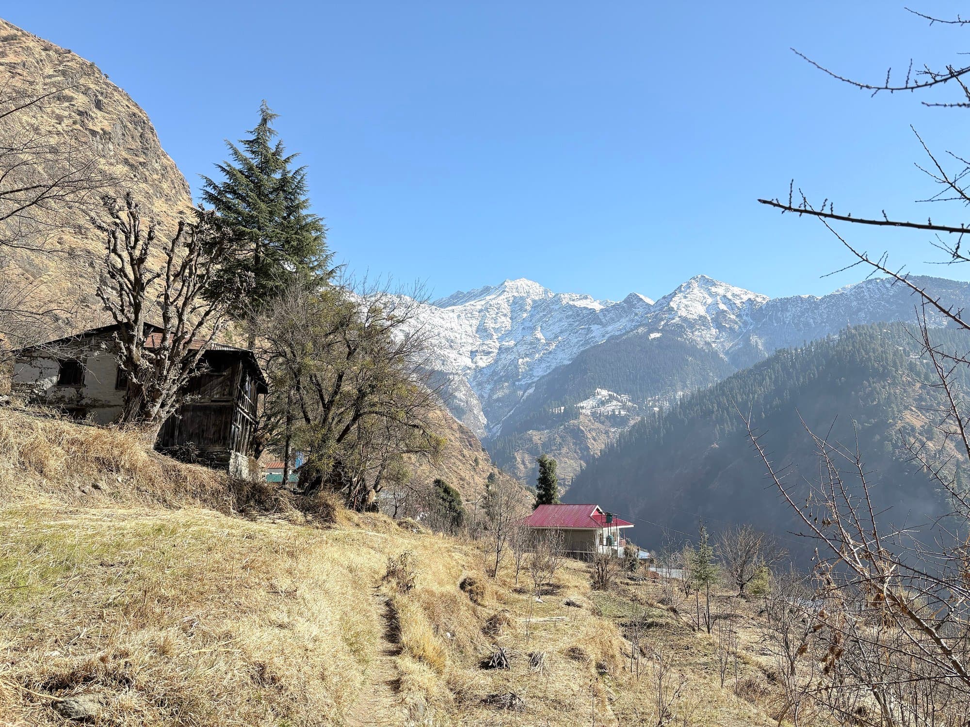 Apple orchards and mountain village slopes in Kinnaur