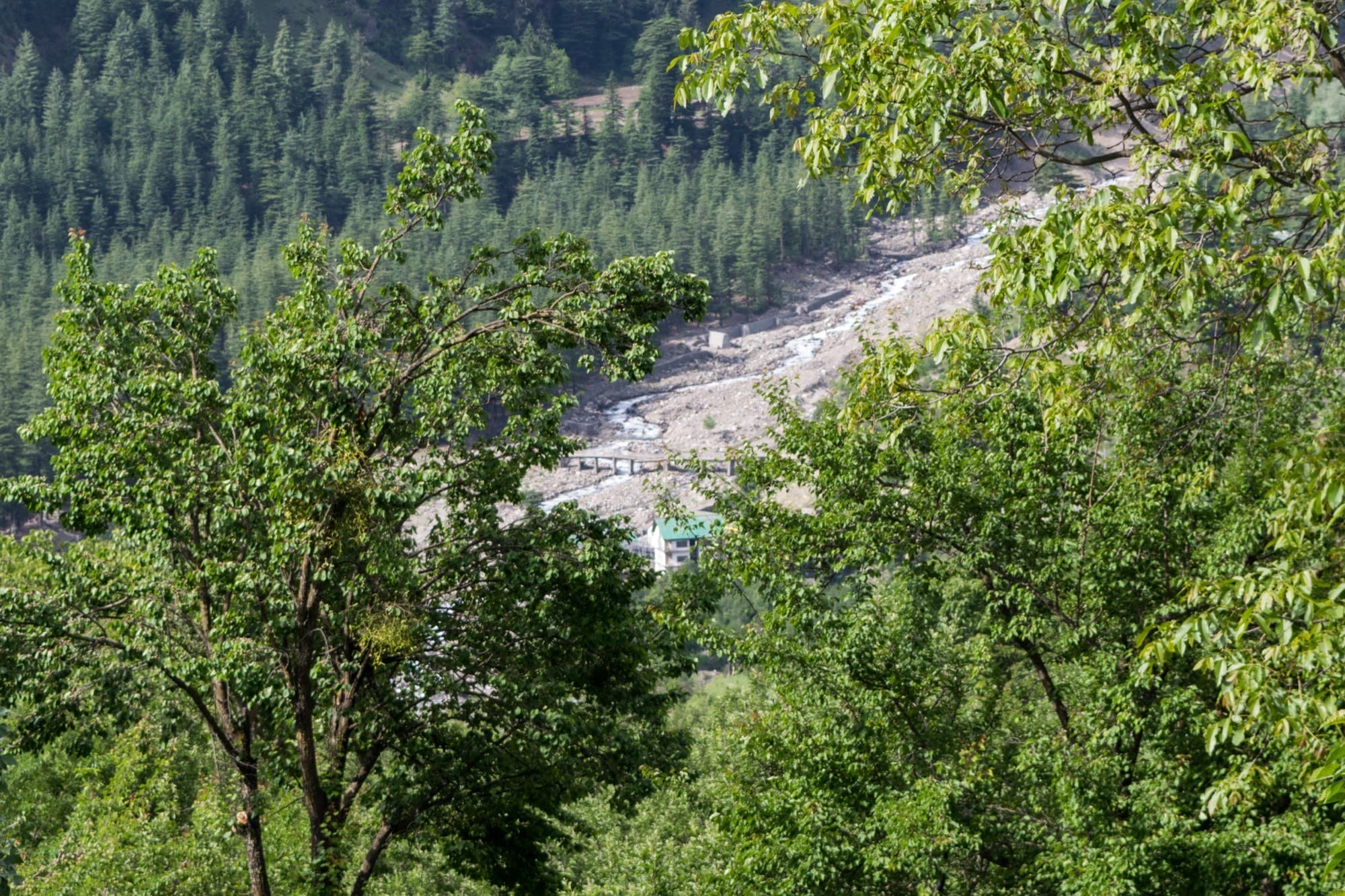 The Baspa river running through meadows